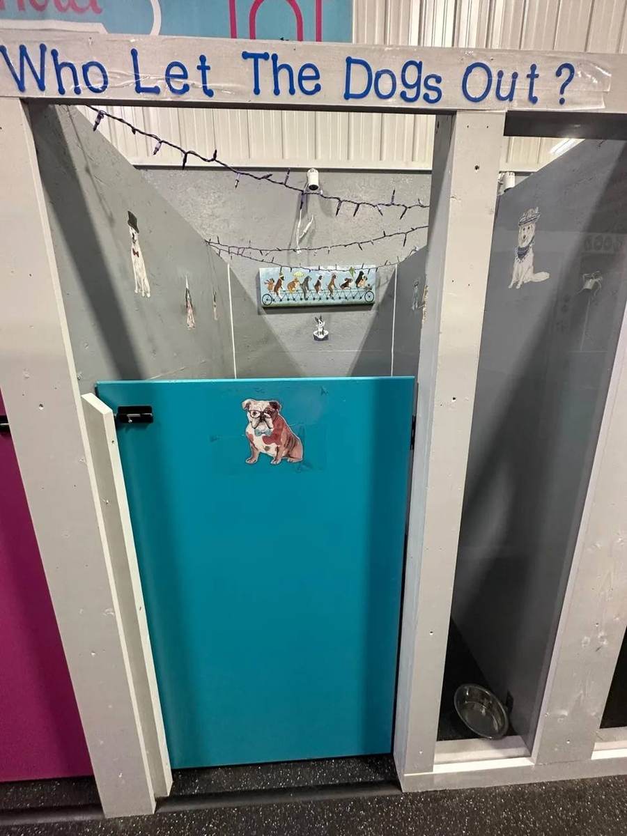 Real Woofs ’n Wags hotel rooms with colorful pink and turquoise doors